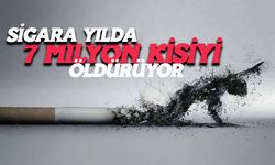 Sigara Yılda 7 Milyon Kişiyi Öldürüyor