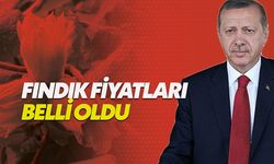 Fındık fiyatları ne kadar oldu 2019? 1. kalite fındık ne kadar? Erdoğan'dan fındık fiyatı açıklaması