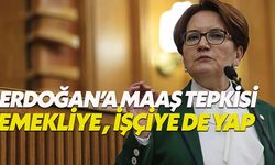 Meral Akşener'den Erdoğan'a maaş tepkisi