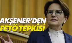 Meral Akşener: Erdoğan millete sırtını döndü