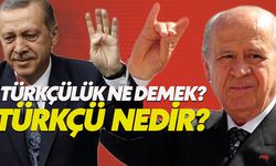 Türklük ve Türkçülük ne demek? Türkçü kime denir?