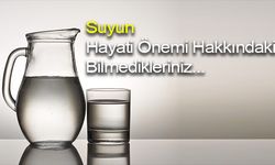 Suyun Hayati Önemi Hakkında Bilmedikleriniz