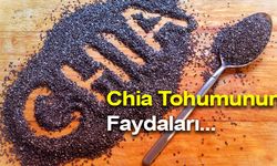 Chia Tohumunun Faydaları