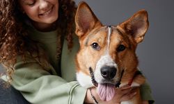 Evcil Hayvan Sağlığı ve Bakımı, En İyi Öneriler ve Veteriner Tavsiyeleri
