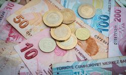 Türkiye'de Döviz Kurlarındaki Son Değişimler ve Analizler