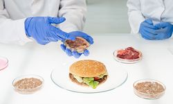 Biyolojik Suni Et Burgeri Dünya Marketlerinde