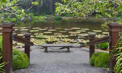 Zen Felsefesiyle Şekillenen Japon Bahçelerinin Estetiği