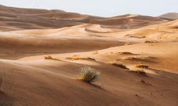 Sahra Çölü Üzerine Derinlemesine Araştırmalar