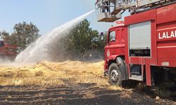 Edirne’de anız yangını 10 dekar araziyi küle çevirdi