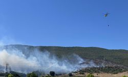 Bursa’da orman yangınına havadan ve karadan müdahale