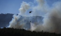 İzmir’deki orman yangını büyüyor bir kişi gözaltında