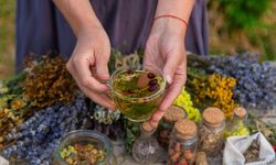 Astroloji ve şifalı bitkiler doğum haritası