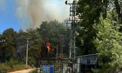 Antalya Manavgat’ta ormanlık alanda yangın