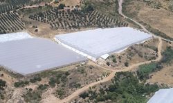 Aksu’da makilik yangınına müdahale ediliyor