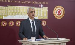 Gergerlioğlu: Anayasal reformlar ve silahsızlanma gecikmemeli