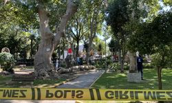 Kocaeli Gölcük’te ağaçtan kopan dal 3 kişiyi yaraladı