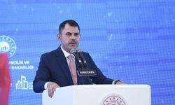 Kurum: Yangın bölgelerinde hasar tespiti tamamlanıyor