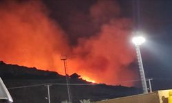 Çeşme’de çıkan yangında 3 mahalle tahliye edildi