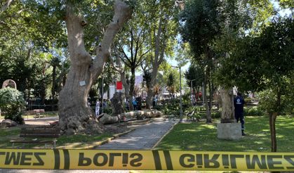 Kocaeli Gölcük’te ağaçtan kopan dal 3 kişiyi yaraladı