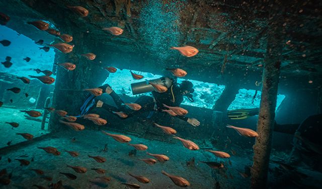 Derin Denizlerin Sırları, Bilim İnsanları Dünya'nın En Derin Sularında Yaşam Arayışında