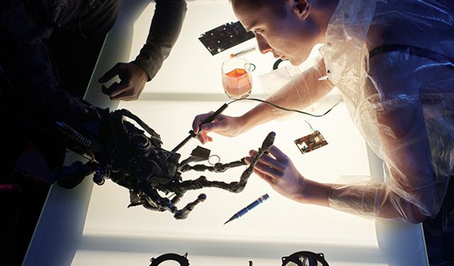 Yaratıcılığın Sınırı, Böcek Kafalı Robot Heykelleri