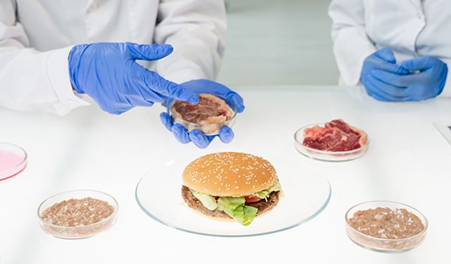 Biyolojik Suni Et Burgeri Dünya Marketlerinde