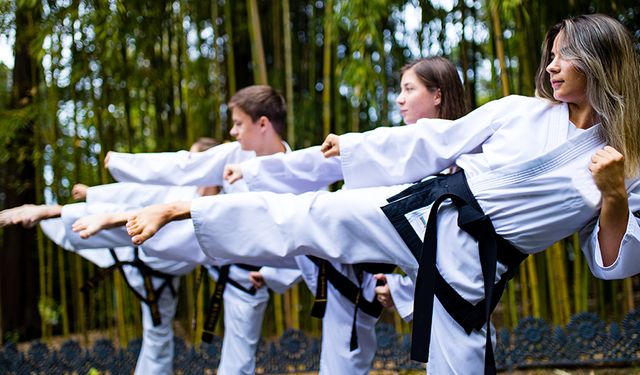 Taekwondo, Kökeni, Gelişimi ve Bugünkü Durumu
