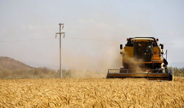 Türkiye'nin Buğday ve Un İhracatında Büyük Hedefler
