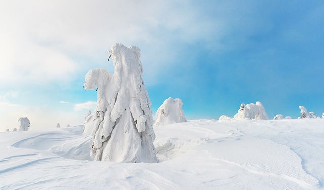 Dünyanın En Soğuk Bölgeleri, Kar ve Buzla Kaplı Coğrafyalar