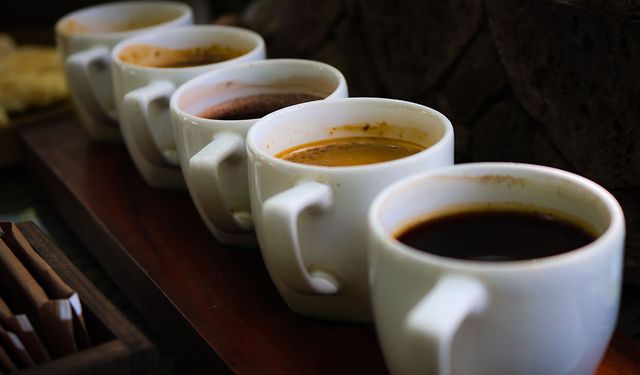 Kahvenin İzinde , Kıtaları Aşan Kültürel Bir Yolculuk