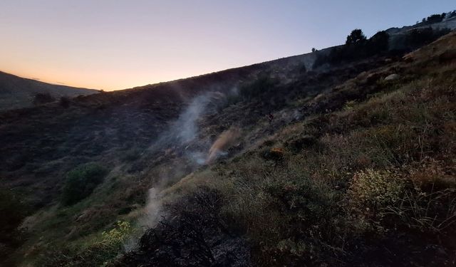 Bingöl’de ormanlık alanda çıkan yangın durduruldu