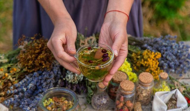 Astroloji ve şifalı bitkiler doğum haritası