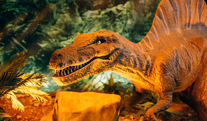 Dinozorların Soyunun Tükenmesinin Gerçek Nedeni Nedir?