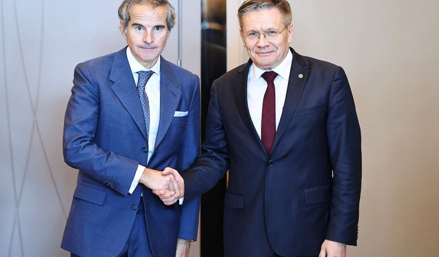 Zaporojye NGS'nin güvenliği Kaliningrad'da masaya yatırıldı