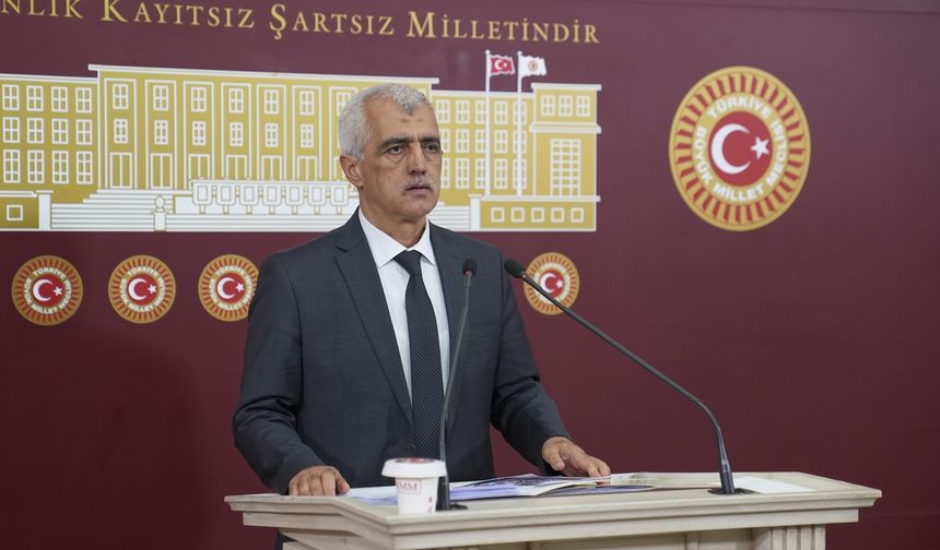 Gergerlioğlu: Anayasal reformlar ve silahsızlanma gecikmemeli